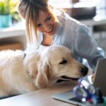 Beautiful dog looking the laptop while her smiling owner working with him in living room at home.