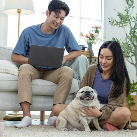 Couple Working and Bonding with Pet Dog