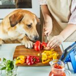 Teenager with dog is preparing an online, virtual master class