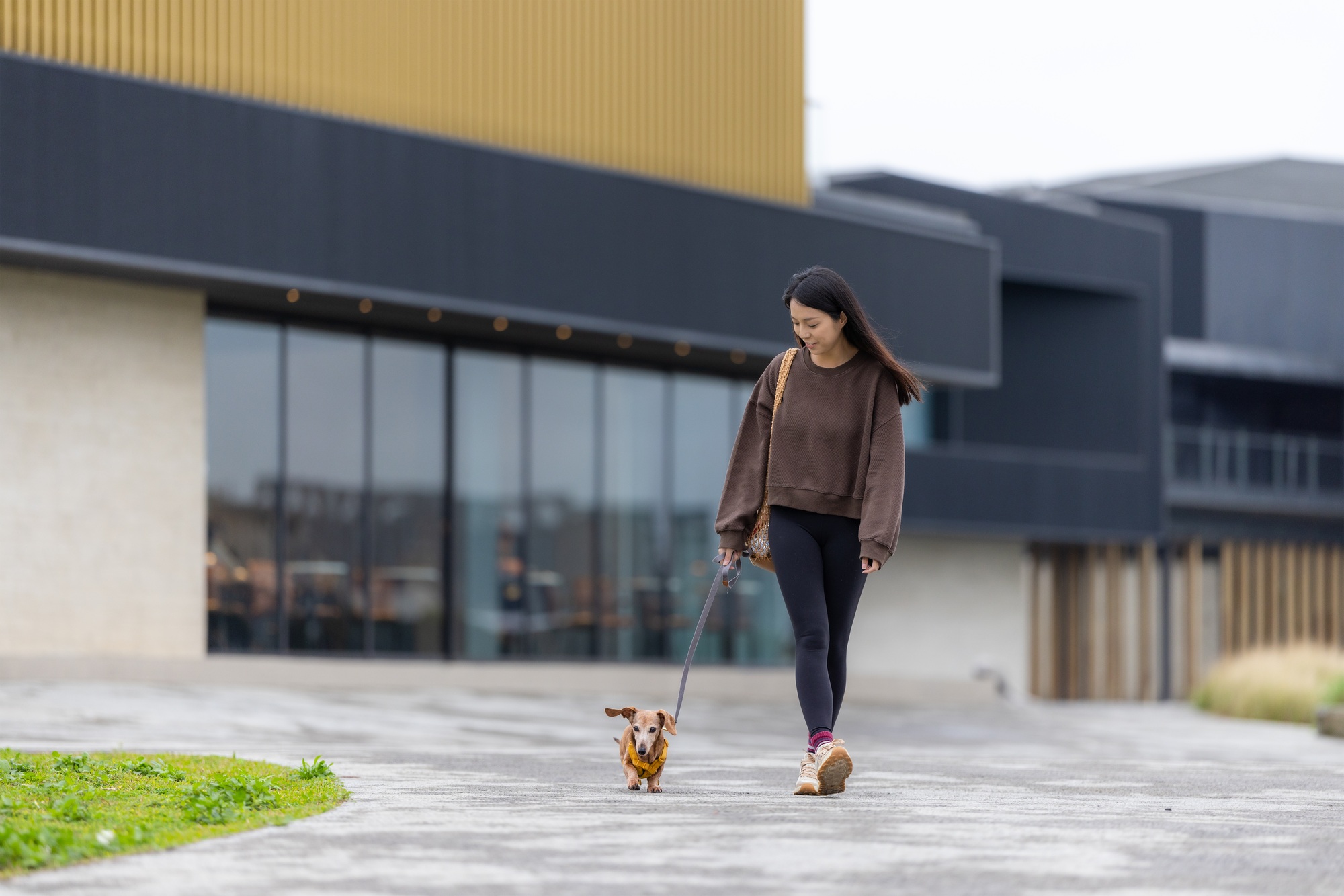 Woman walking with her dachshund dog at park